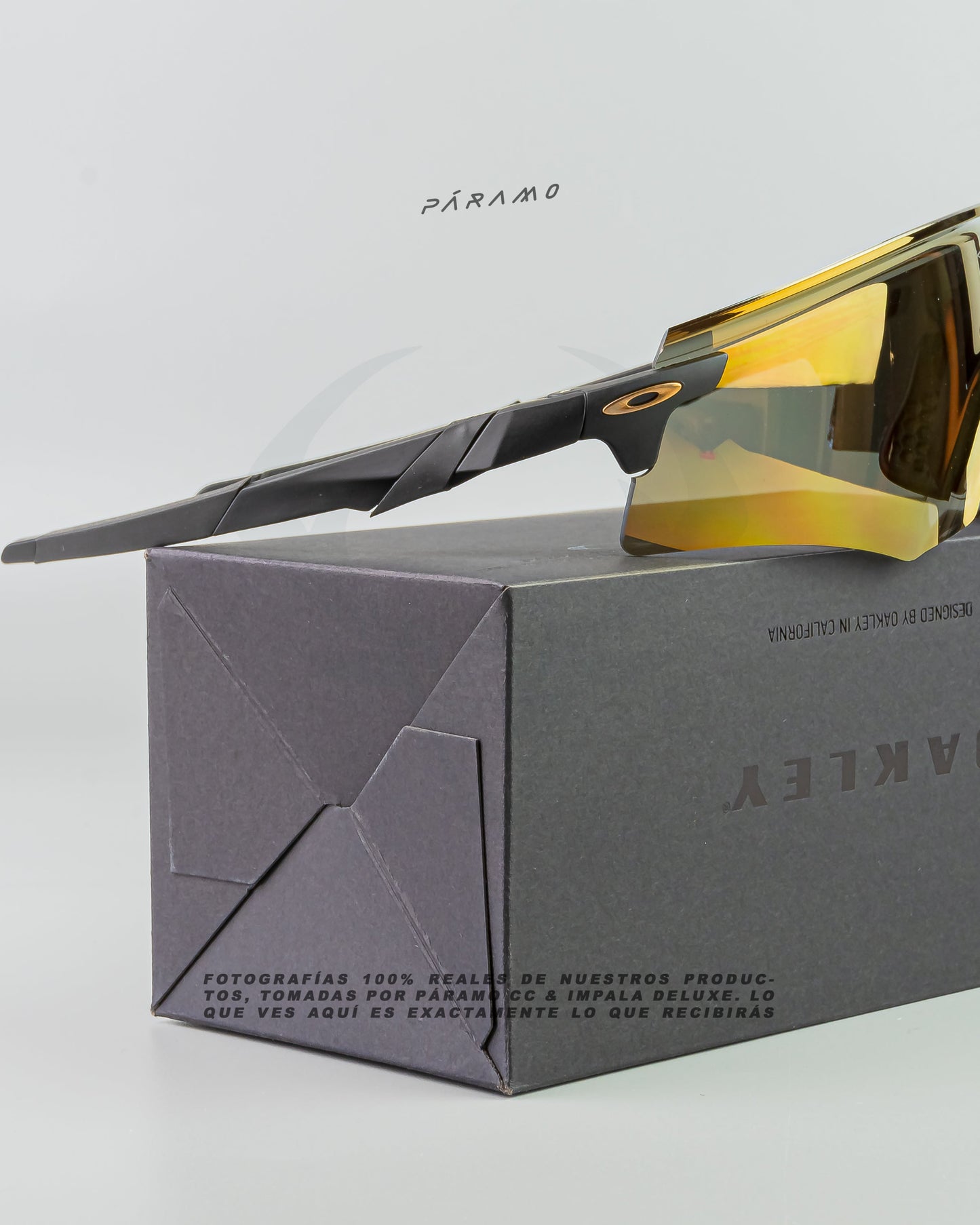 Gafas Encoder Negro Dorado Uv400