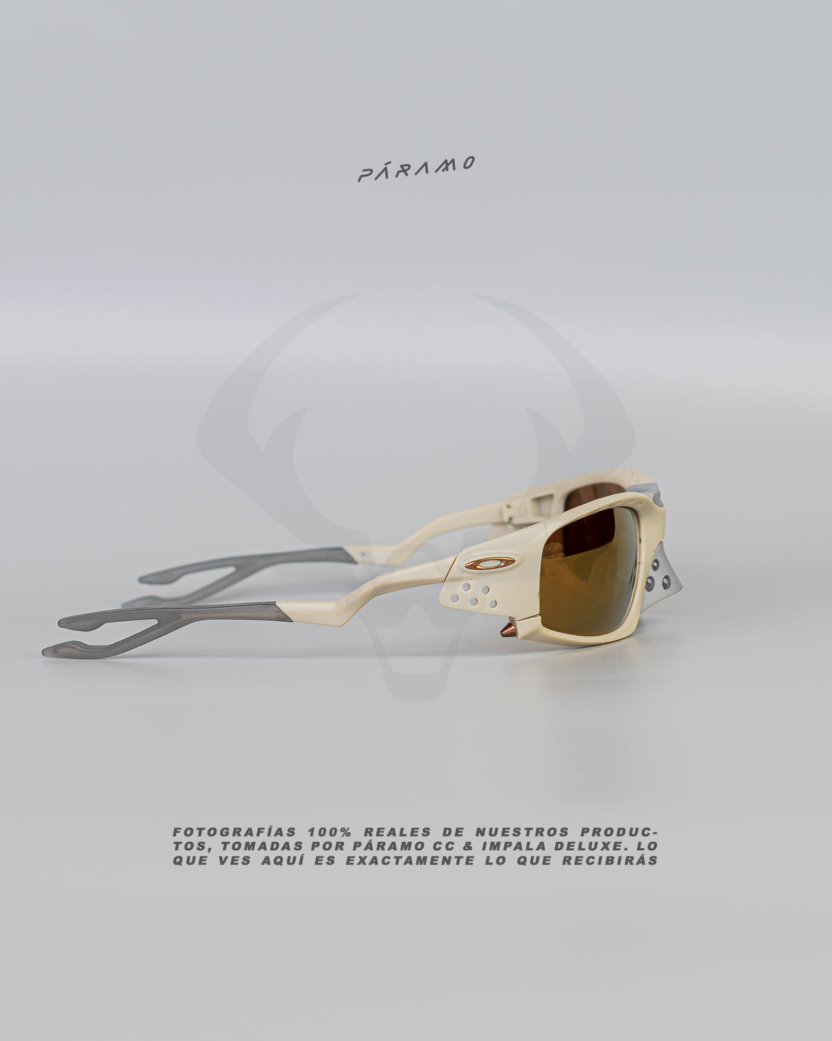 Gafas 0AKL3Y PLANTARIS SQ BEIGE DORADO