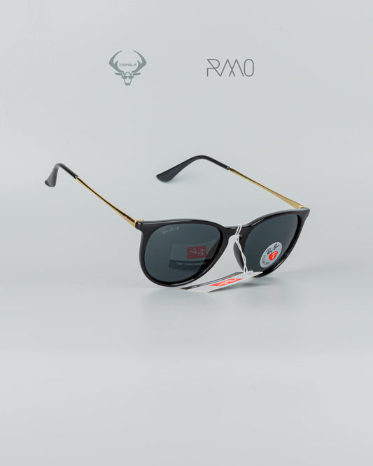 GAFAS RAY B4N RB4171 NG AA