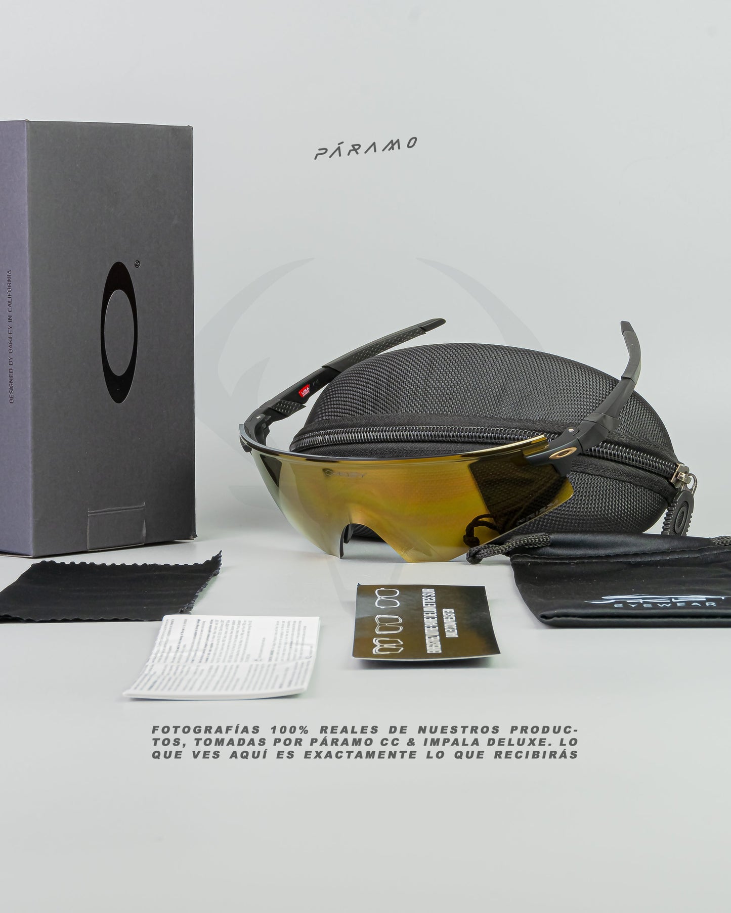 Gafas Encoder  Negro Dorado Uv400