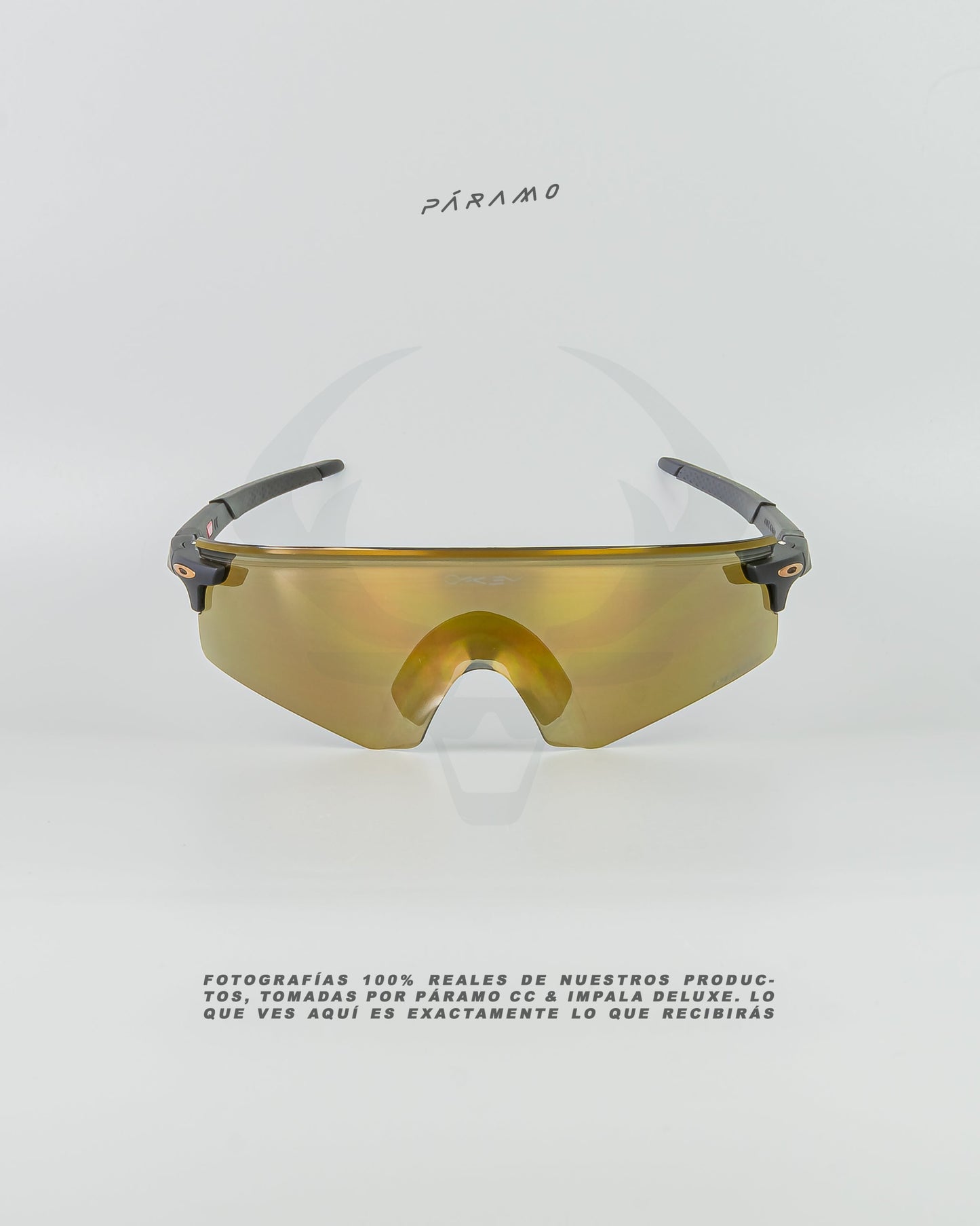 Gafas Encoder  Negro Dorado Uv400