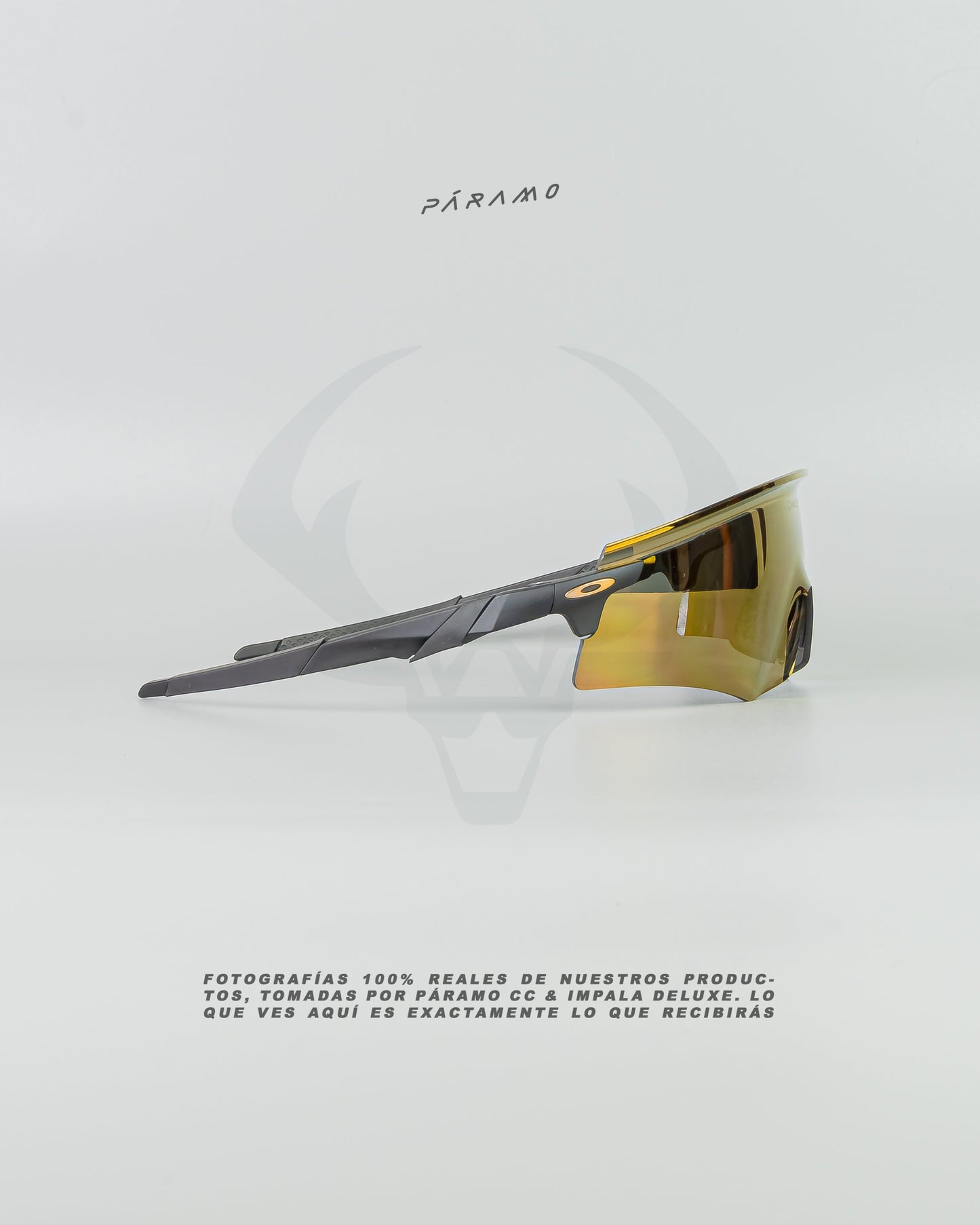 Gafas Encoder  Negro Dorado Uv400