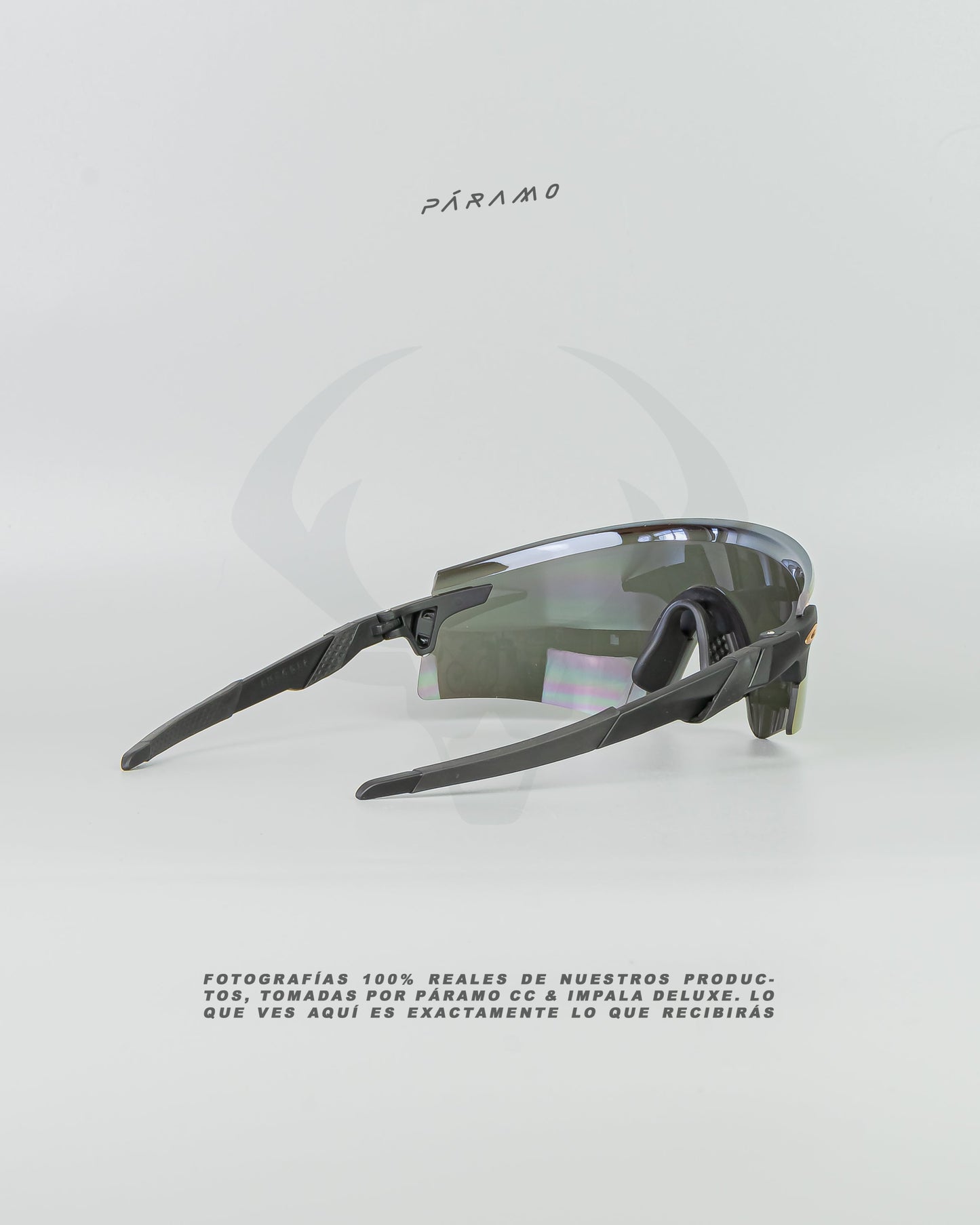 Gafas Encoder  Negro Dorado Uv400