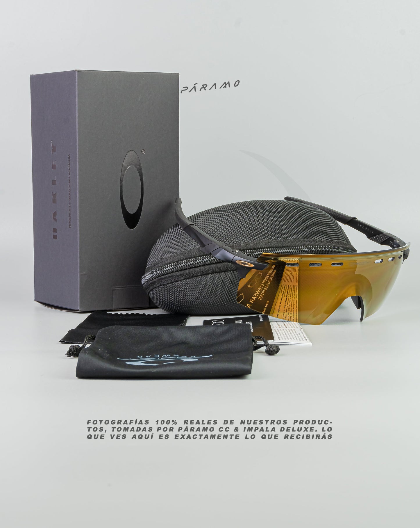 Gafas Encoder  Strike Negro dorado Uv400