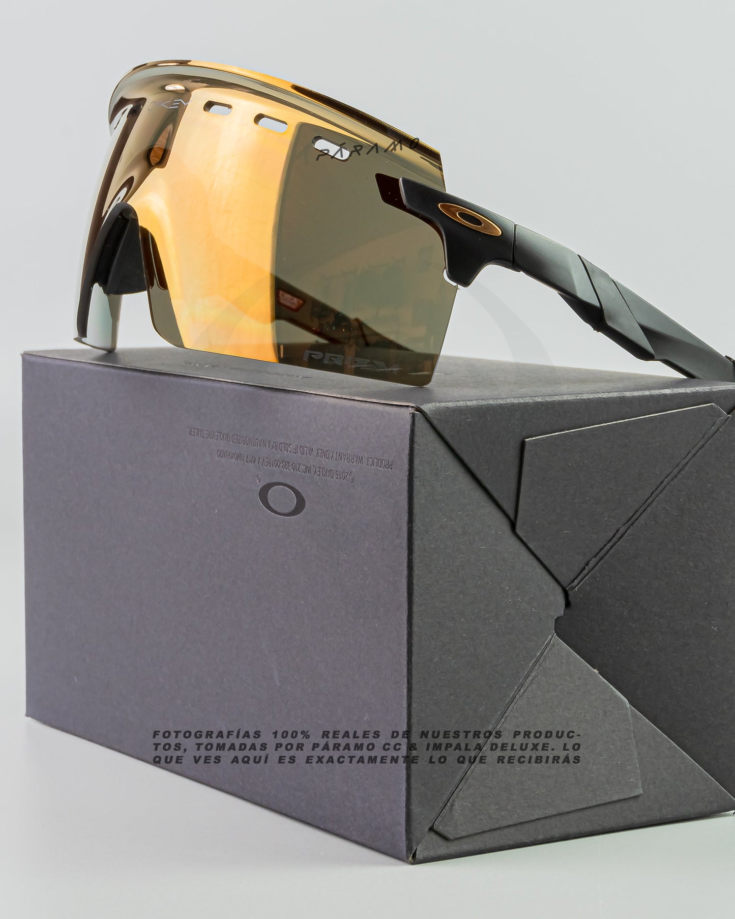 Gafas Encoder  Strike Negro dorado Uv400