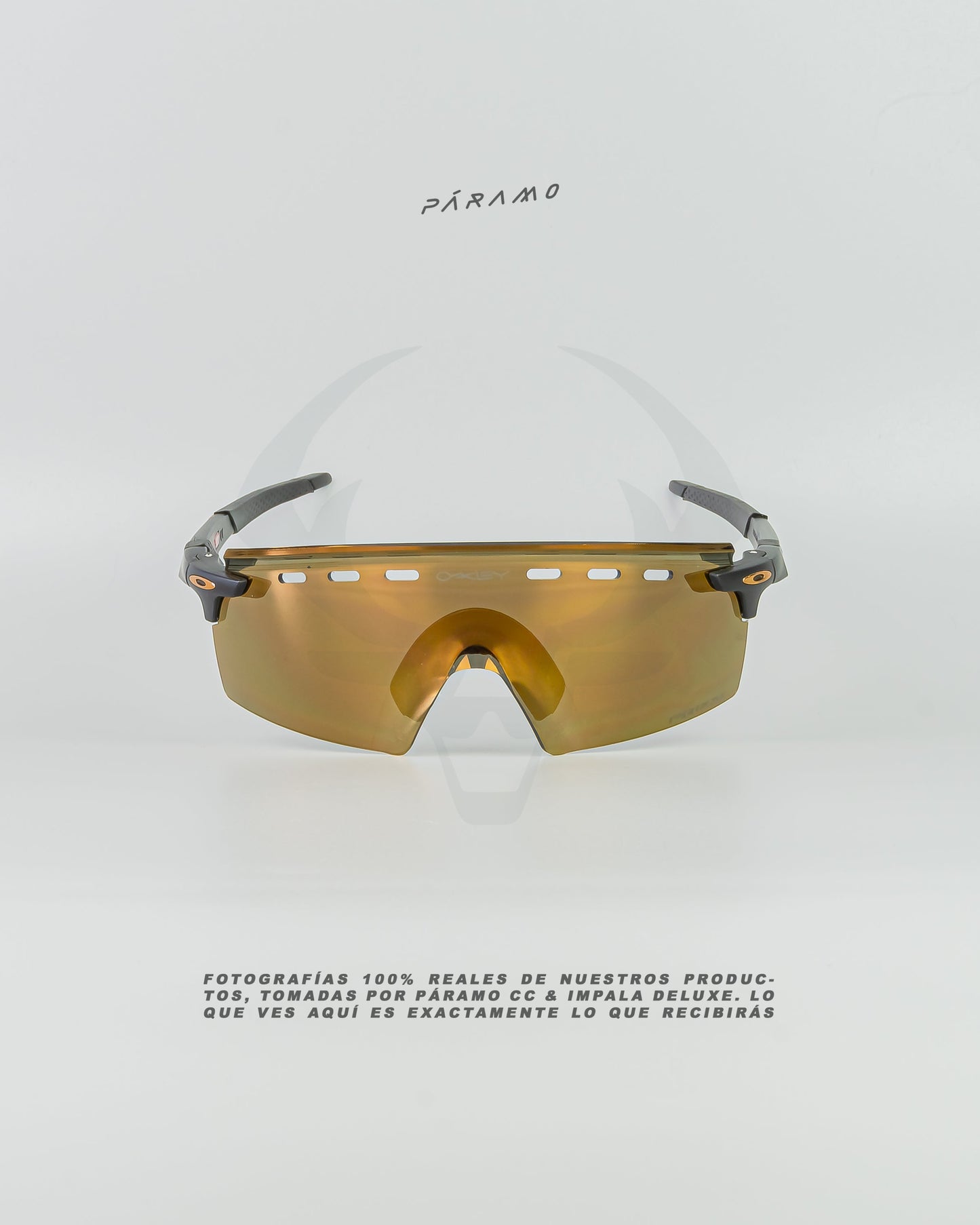 Gafas Encoder  Strike Negro dorado Uv400