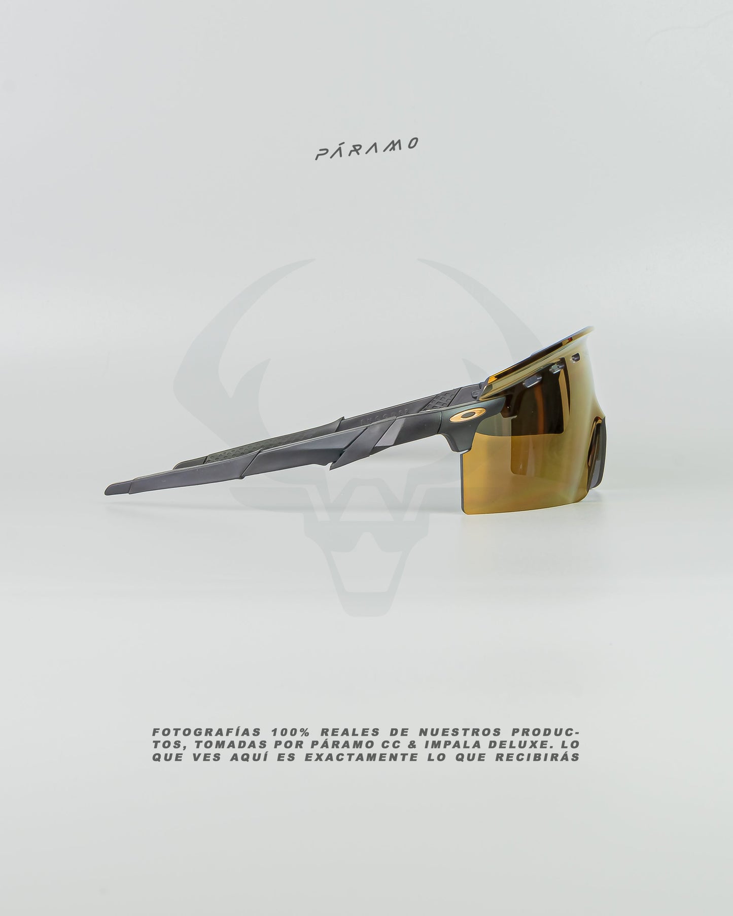 Gafas Encoder  Strike Negro dorado Uv400