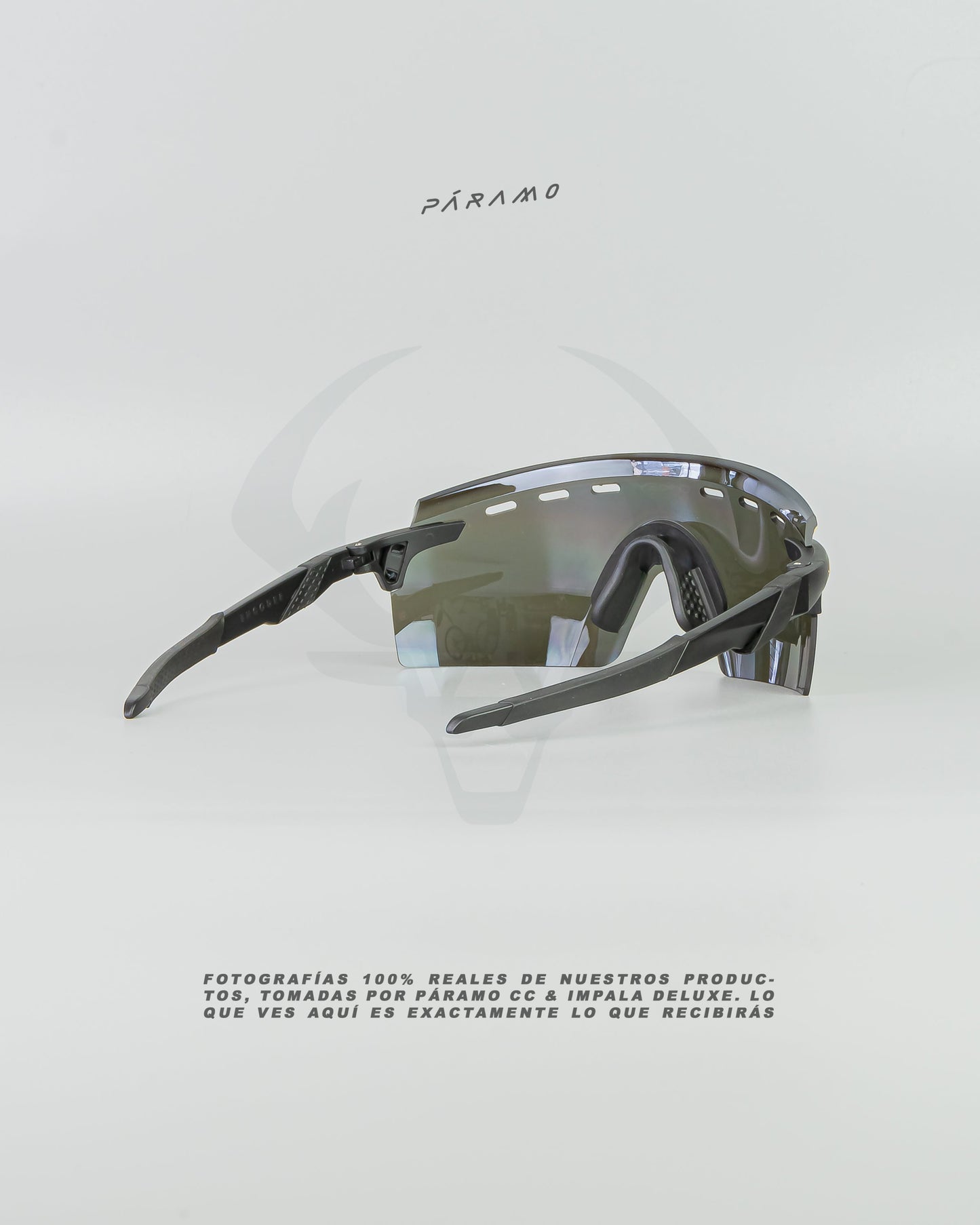 Gafas Encoder  Strike Negro dorado Uv400