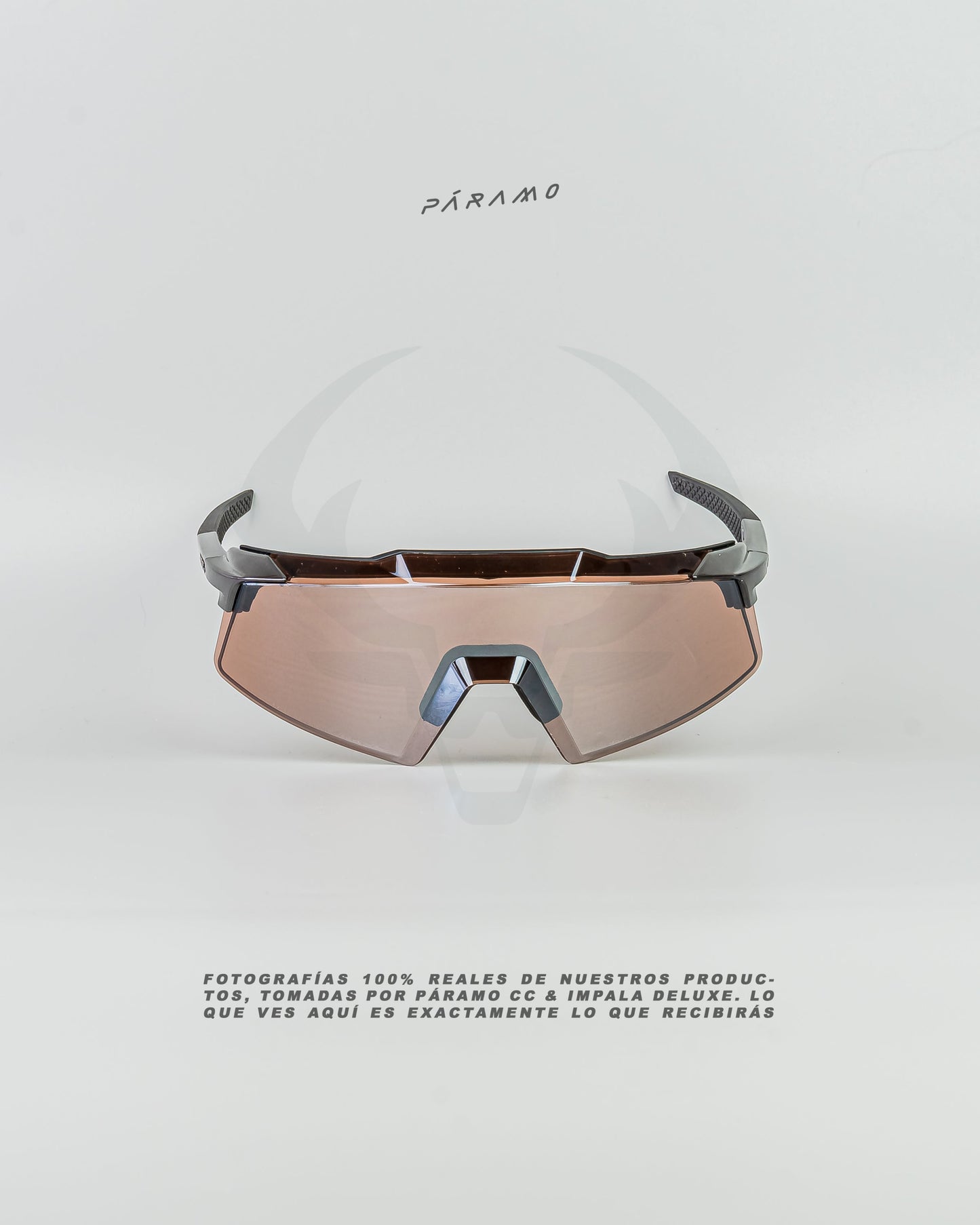 Gafas AEROCRAFT plata marron uv400