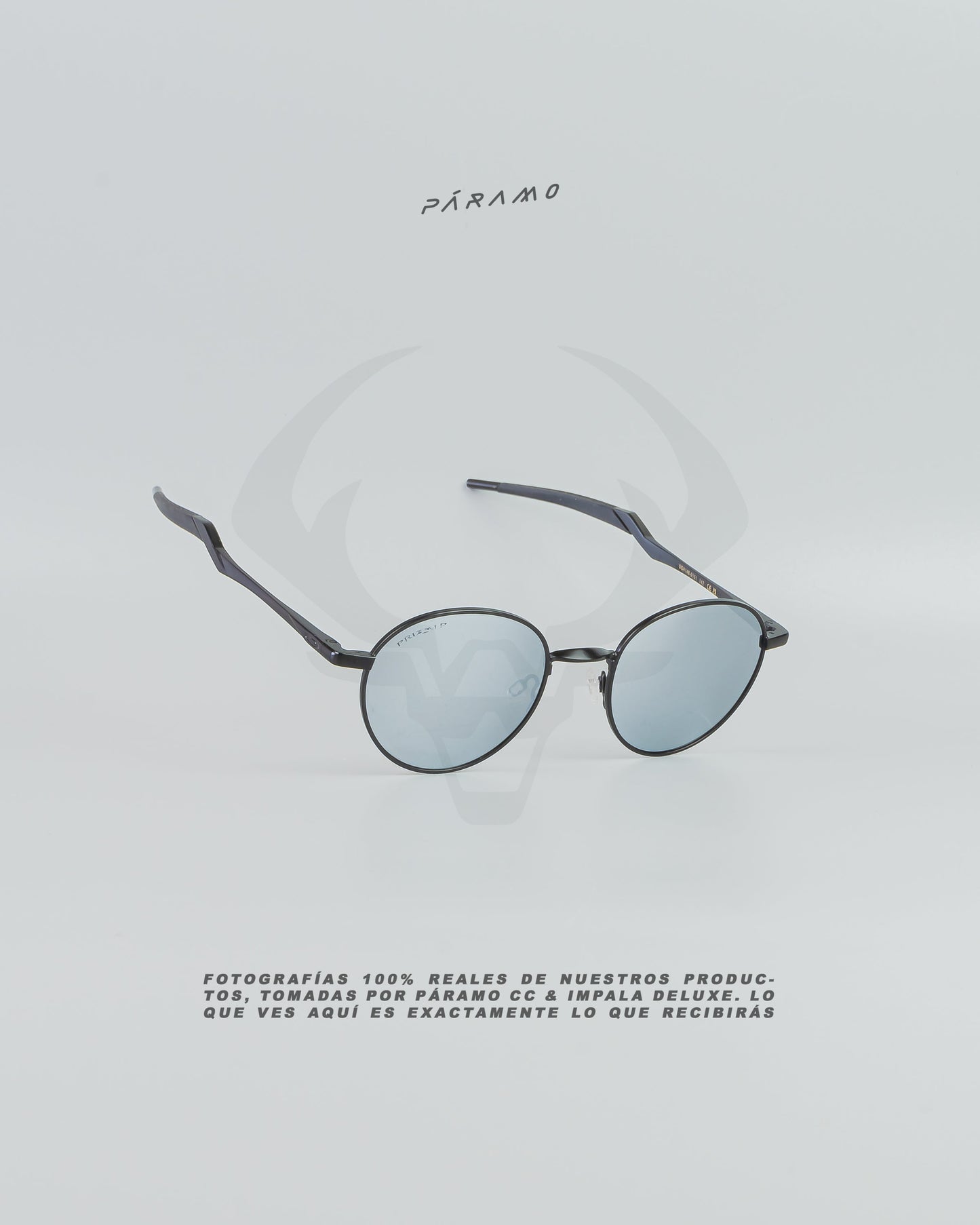 Gafas 0AKL3Y TERRIGAL NEGRO PLATA