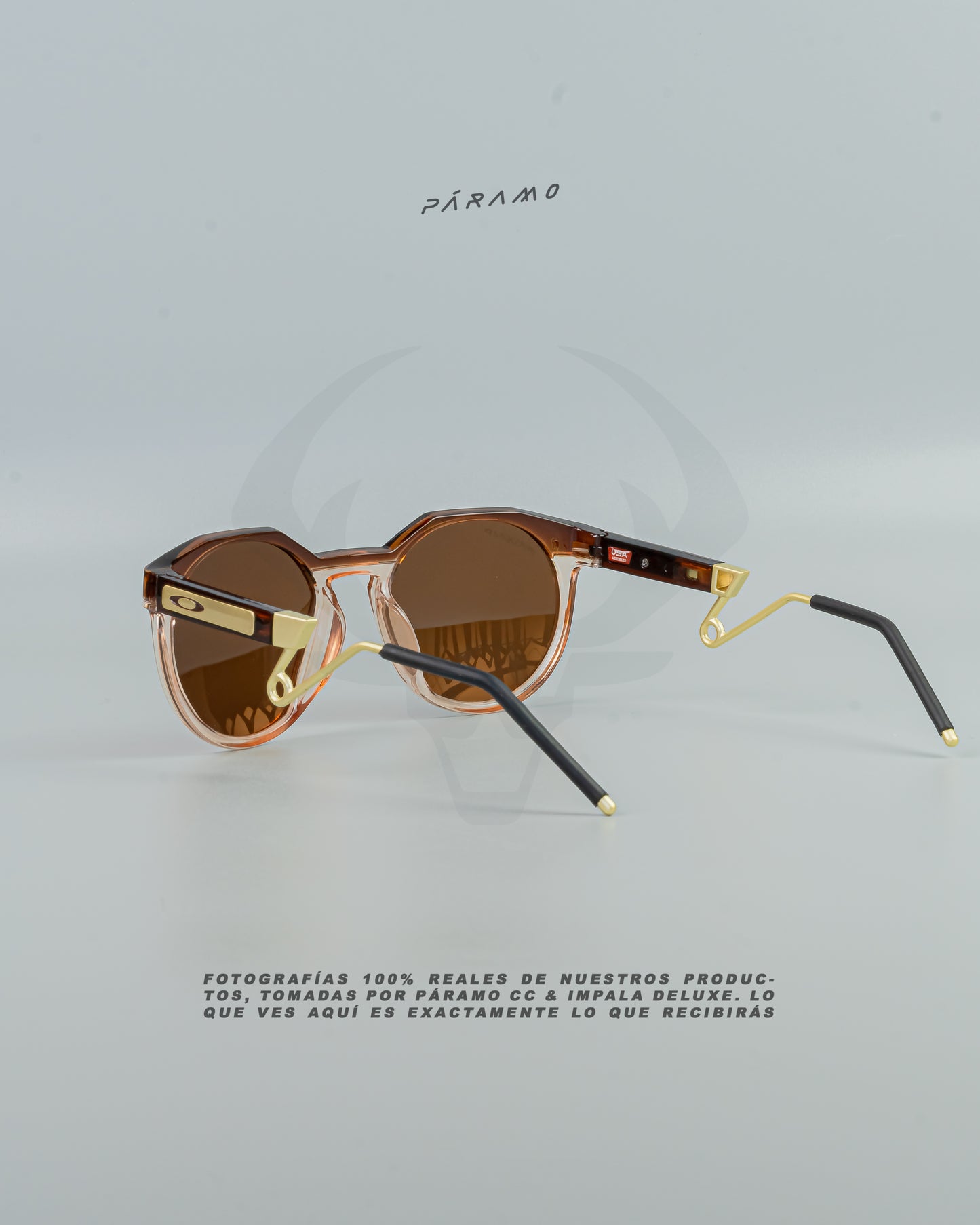 Gafas 0AKL3Y HSTN METAL MARRÓN