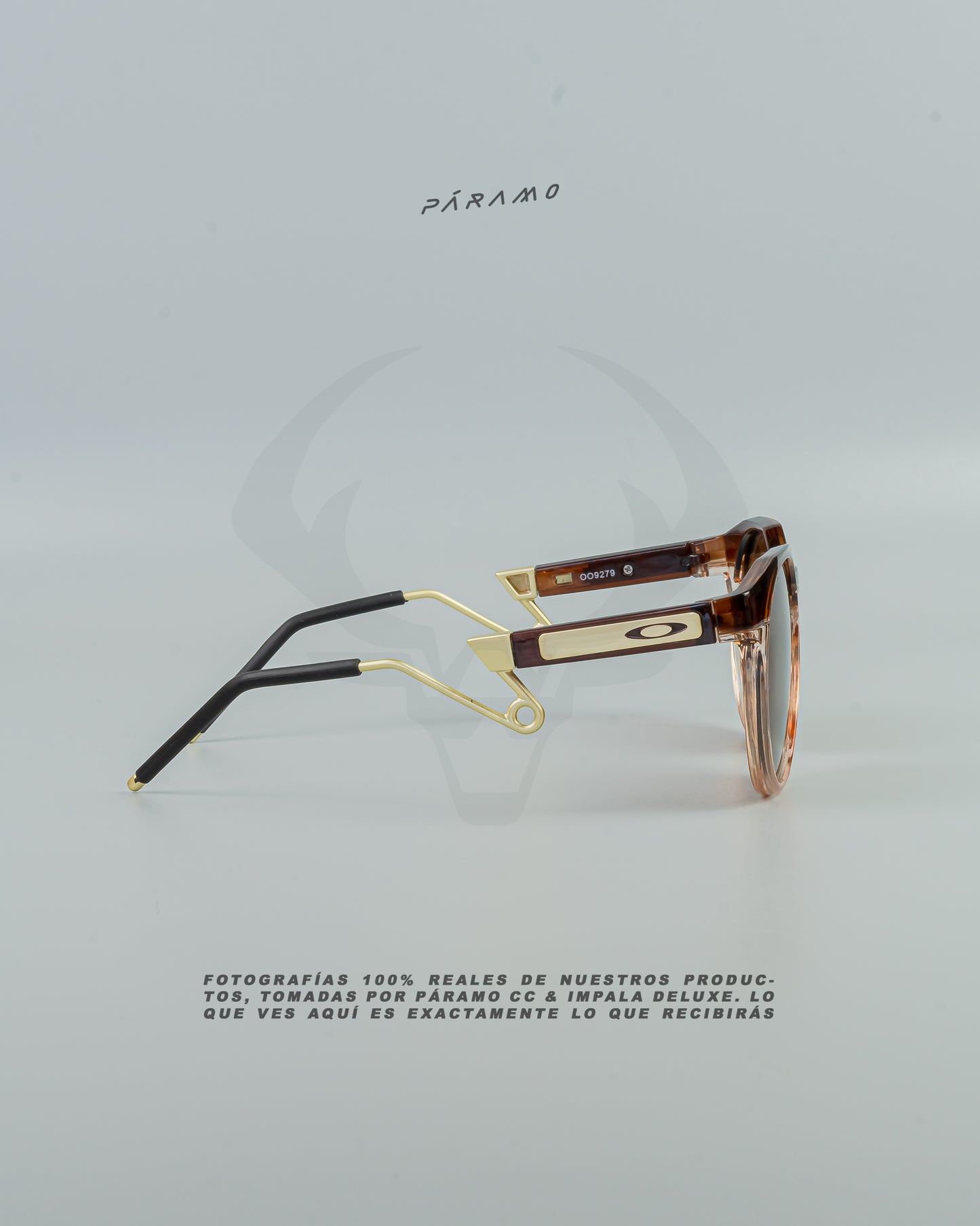 Gafas 0AKL3Y HSTN METAL MARRÓN