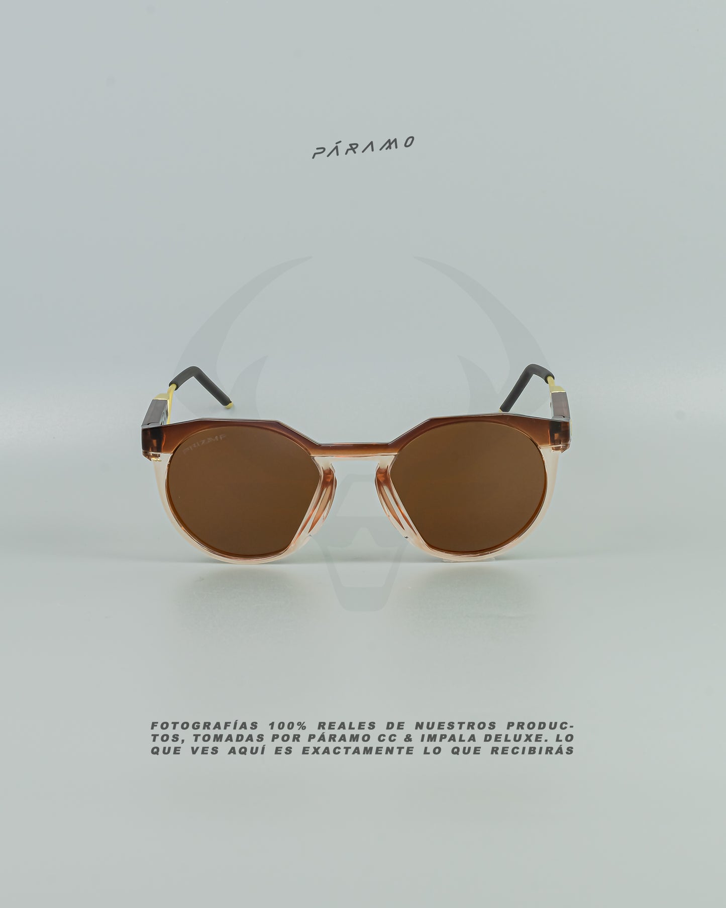 Gafas 0AKL3Y HSTN METAL MARRÓN