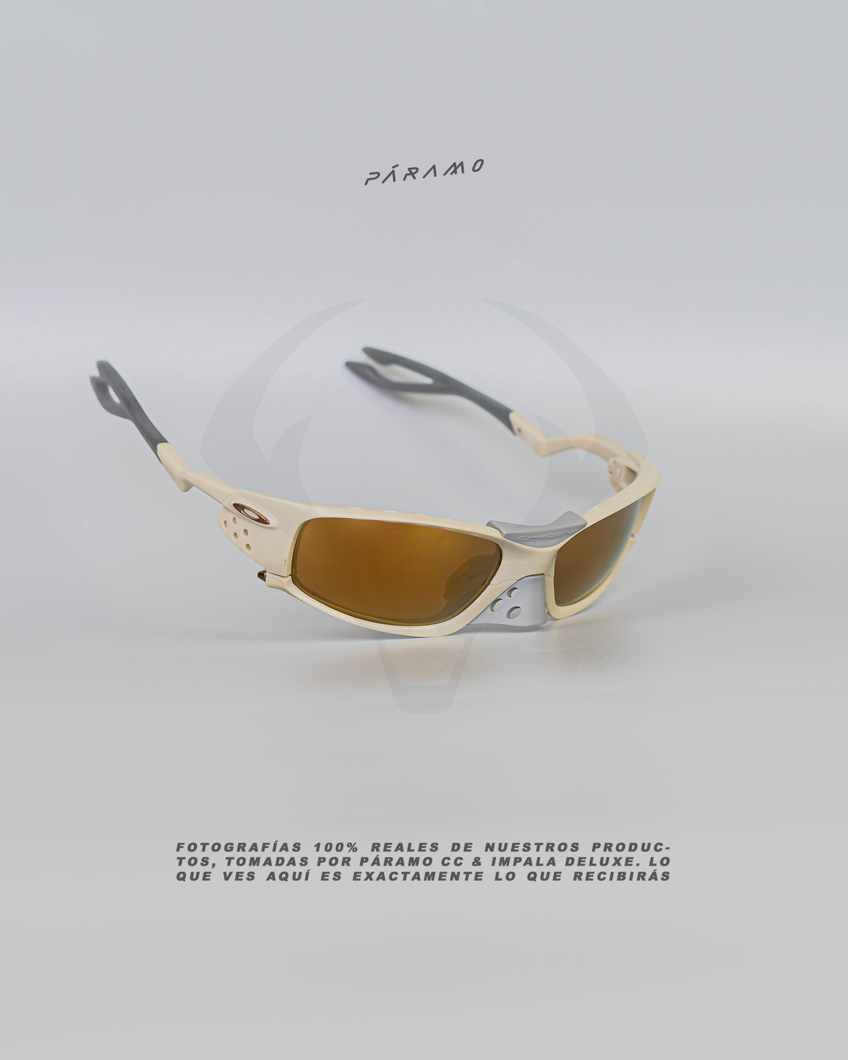 Gafas 0AKL3Y PLANTARIS SQ BEIGE DORADO