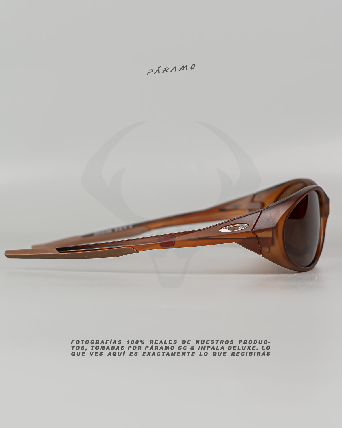 Gafas EYE JACKET MARRON